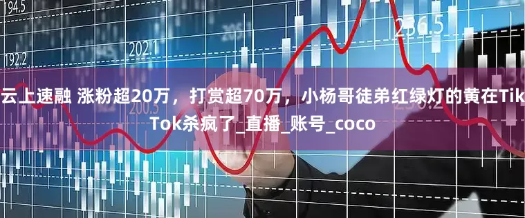 云上速融 涨粉超20万，打赏超70万，小杨哥徒弟红绿灯的黄在TikTok杀疯了_直播_账号_coco