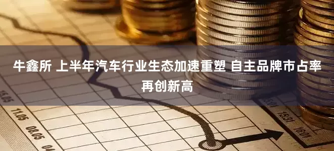 牛鑫所 上半年汽车行业生态加速重塑 自主品牌市占率再创新高