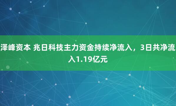 泽峰资本 兆日科技主力资金持续净流入，3日共净流入1.19亿元