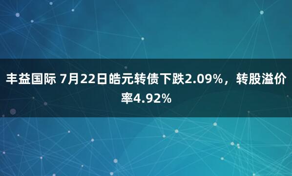 丰益国际 7月22日皓元转债下跌2.09%，转股溢价率4.92%
