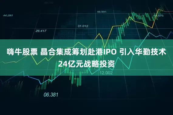 嗨牛股票 晶合集成筹划赴港IPO 引入华勤技术24亿元战略投资
