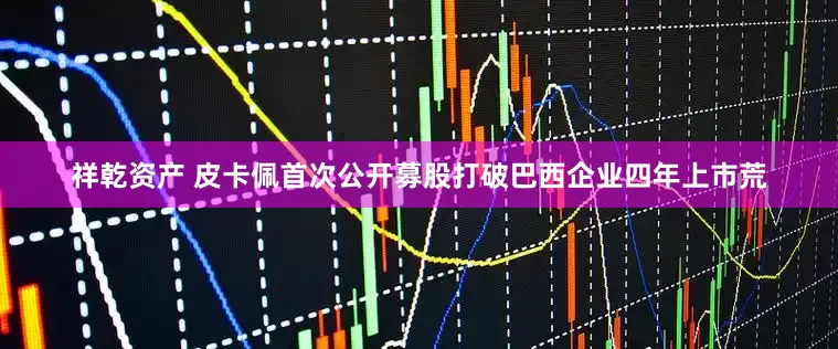 祥乾资产 皮卡佩首次公开募股打破巴西企业四年上市荒