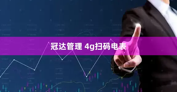 冠达管理 4g扫码电表