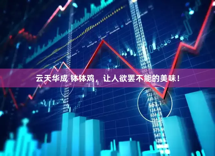云天华成 钵钵鸡，让人欲罢不能的美味！